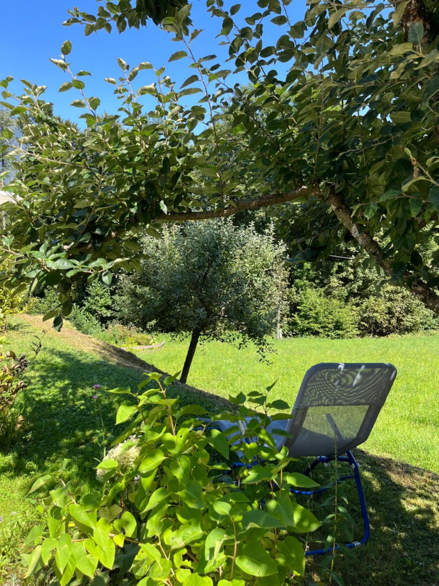 הרמגור Ferienwohnung Waldhauser מראה חיצוני תמונה